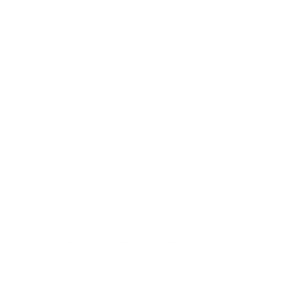 Experience